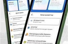 В Казахстане с помощью eGov стало возможным подключить интернет