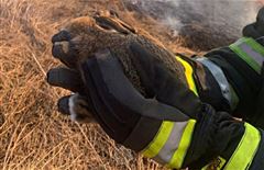 МЧС призывает граждан соблюдать правила пожарной безопасности
