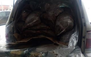 В Уральске задержали дорогой внедорожник с тонной рыбы