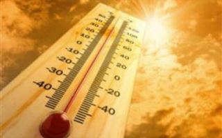 Минувший год стал вторым самым теплым в мире в истории наблюдений