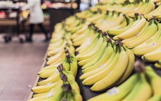 В Казахстане распространяли фейковую рассылку о зараженных бананах