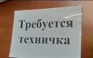 «Где те матери, которые мыли полы и были санитарками в больницах?»: казахстанки массово отказываются от работы