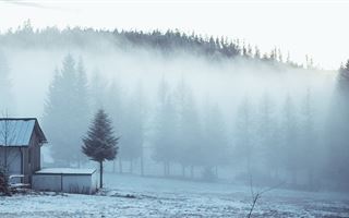 31 января в Казахстане местами ожидается туман