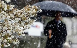 Какая погода ожидает казахстанцев 12 февраля