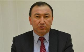 "Праймериз может стать политическим и социальным лифтом" - Марат Башимов