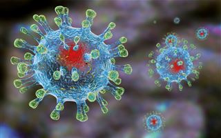 Ученые выяснили как долго остается коронавирус в организме человека