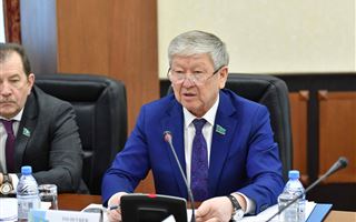 Центральным и местным органам управления поручено поддержать малый и средний бизнес - сенатор Мукашев
