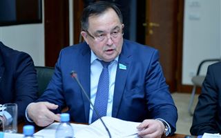 "Елбасы определил, что общими усилиями казахстанцы преодолеют любые трудности" - сенатор