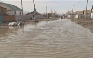 Грунтовые воды затопили частные дома в Костанае 