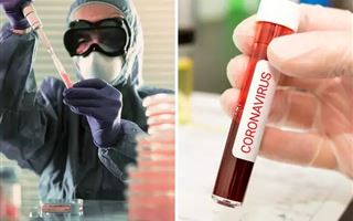 «СМИ напрасно раздувают эту пандемию: атипичная пневмония опаснее» - какие теории заговора окружают коронавирус