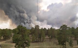 Лесные пожары в ВКО: площадь огня увеличилась до 300 гектаров