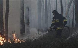 В ВКО ожидается ухудшение обстановки по природным пожарам