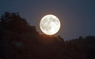 Конфликт с Солнцем: что таит для знаков зодиака прирост Луны