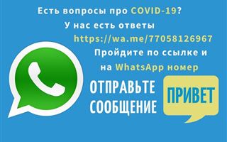 В Казахстане запустили чат-бот WhatsApp для информирования населения о коронавирусе