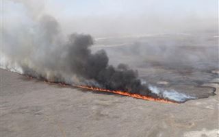 Камыш загорелся на побережье Каспийского моря
