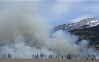 За сутки по Казахстану произошло 11 природных пожаров