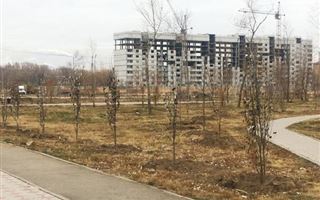 Павлодарцы не могут больше смотреть на то, как акиматы бездарно закапывают миллионы в землю