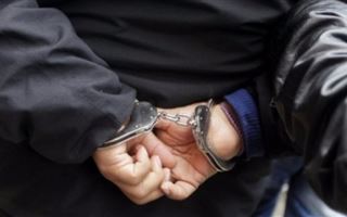 Совершившему смертельный наезд на алматинских полицейских грозит пожизненное наказание