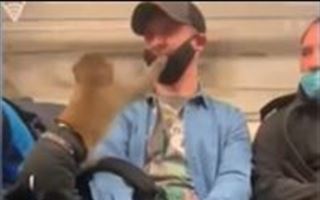 Обезьяна в метро попыталась стащить маску у попутчика