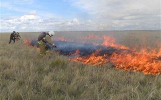 Более 100 гектаров степи сгорело в ВКО