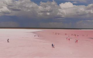 В Акмолинской области для посещений закрыли розовое озеро Кобейтуз
