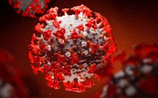 Число зараженных коронавирусом в Италии увеличивается пятый день подряд   