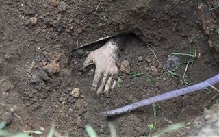 Недавно пропавшую в ВКО женщину нашли закопанной