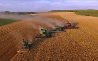 В семи регионах РК начали убирать урожай зерновых культур