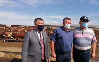 Фермеры восточного Казахстана рассказали сенатору о проблемах в животноводстве