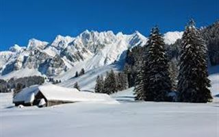 Россиянка в шортах попала в ледяную ловушку в Альпах