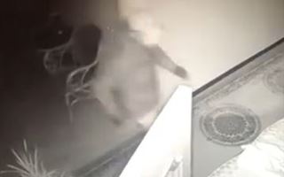 «Стая голодных шакалов»: воры в масках проникли в квартиру в Нур-Султане и попали на видео