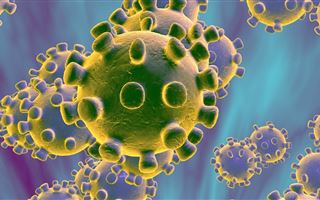 Врач назвал фактор, снижающий сопротивляемость организма к коронавирусу