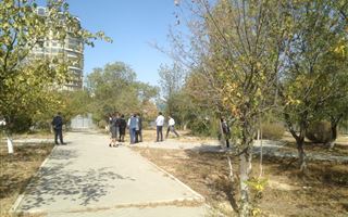 Жители Актау выступили против уничтожения деревьев во время строительства нового здания банка 