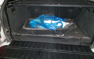 В СКО у мужчины в багажники обнаружили мертвого лебедя