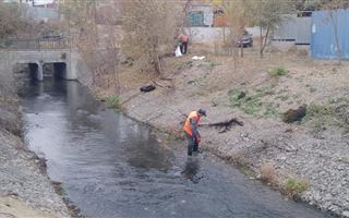 В Турксибском районе Алматы очищают реки