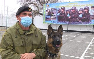 В Капшагайском гарнизоне проходит подготовка служебных собак для различных служб