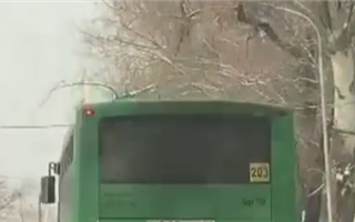 «Пьяный» автобус озадачил алматинцев
