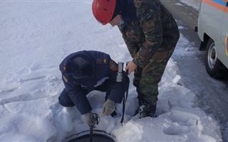 В Усть-Каменогрске из канализационного люка спасли собаку