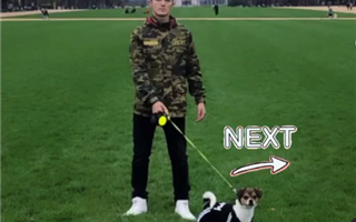 Как казахский боксёр-полицейский из Америки отреагировал на видео с собакой, которую волочила по дороге машина