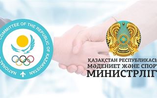 Министерство культуры и спорта и Национальный олимпийский комитет обсудили развитие спорта в РК