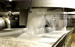В Жамбылской области построят новый сахарный завод