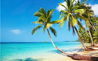 Доминикана с 1 апреля введет единую электронную анкету и QR-код для иностранных туристов