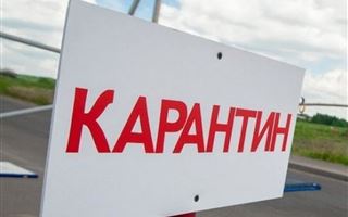27 человек, вернувшихся в Казахстан без ПЦР-справок, отправили в карантинный стационар 