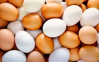 В Алматы установлена предельная цена на яйца
