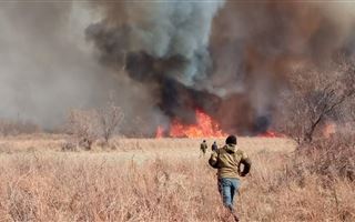 Природные пожары разгораются в Алматинской области