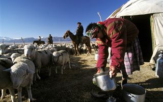 "Зимой даже нет возможности помыться или постирать одежду": как живут казахи-кочевники в Китае - обзор иноСМИ