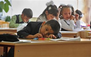 «Коренное население боится отдавать детей в государственные школы» - российские СМИ о миграционной обстановке в стране