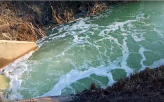 "Как Тархун!": жители обеспокоены необычным цветом реки в ВКО