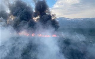 В Восточном Казахстане лесной пожар перекинулся на дома - видео очевидцев