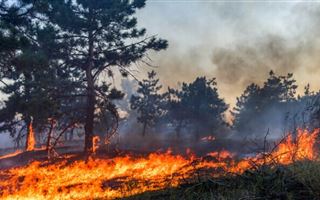 В трех регионах РК наблюдается смог от пожаров в России